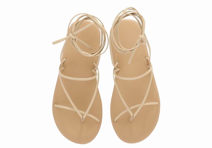 Sandales De Gladiateur Ancient Greek Sandals String   | RKY-3248419